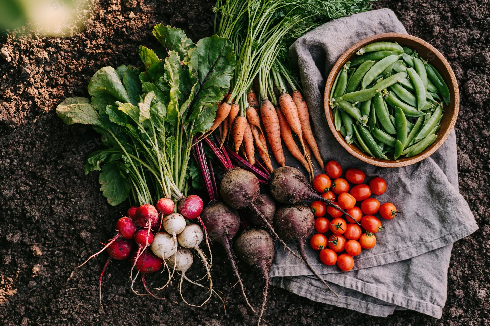 Freshly harvested vegetables arranged on dark soil with a cloth and wooden bowl