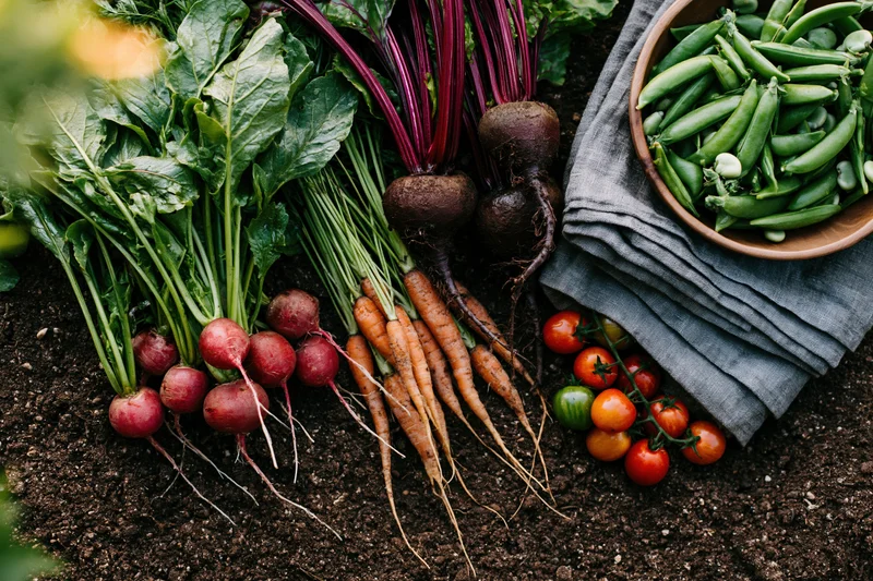 Freshly harvested vegetables arranged on dark soil with a cloth and bowl nearby