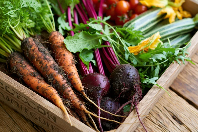 Freshly harvested vegetables arranged in a shallow wooden crate on a rustic wooden surface