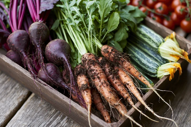 Freshly harvested vegetables arranged in a shallow wooden crate on a rustic wooden surface