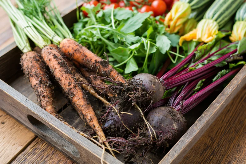 Freshly harvested vegetables arranged in a shallow wooden crate on a wooden surface