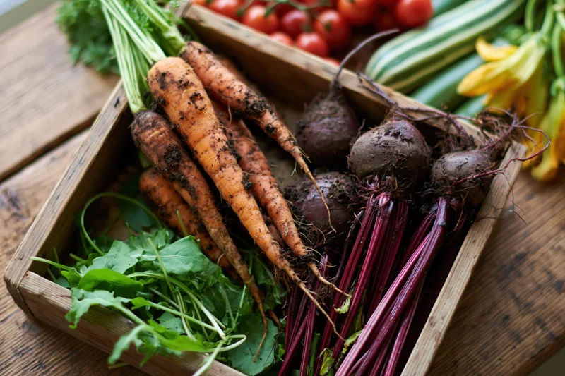 Freshly harvested vegetables arranged in a shallow wooden crate on a rustic wooden table