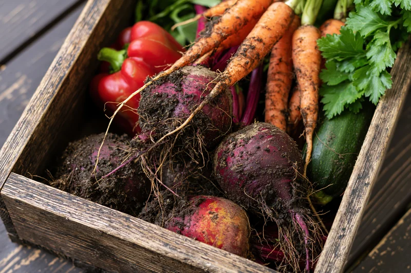 Freshly harvested muddy vegetables with roots in a wooden crate on a dark surface