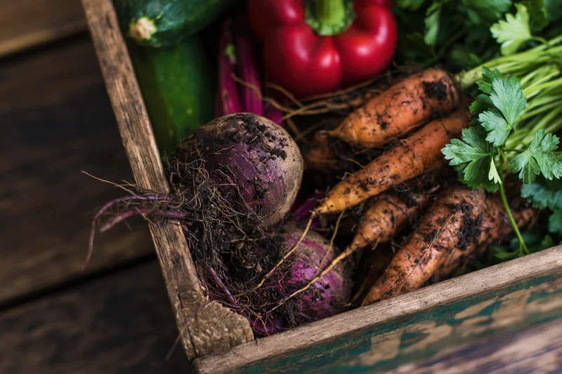 Freshly harvested vegetables with soil and roots in a wooden crate on a wooden surface