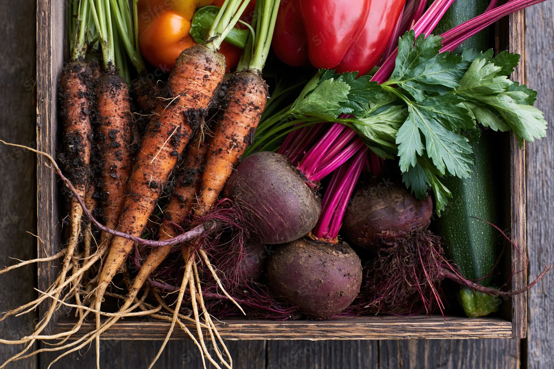 Freshly harvested vegetables with soil on roots arranged in a wooden crate