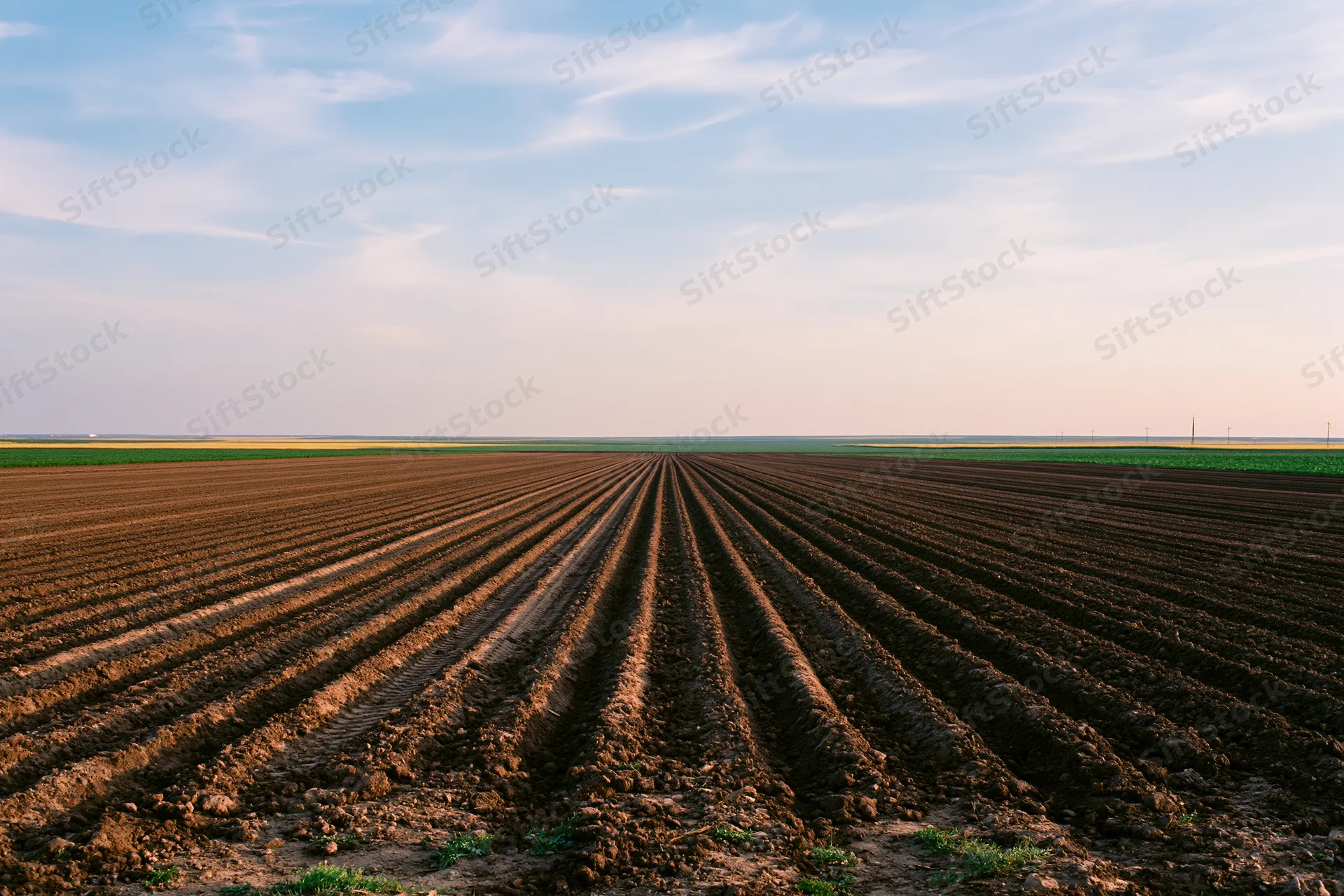 Freshly plowed field with parallel furrow rows stretching toward the horizon under a blue sky with wispy clouds