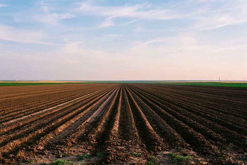 Freshly plowed field with parallel furrow rows stretching toward the horizon under a blue sky with wispy clouds