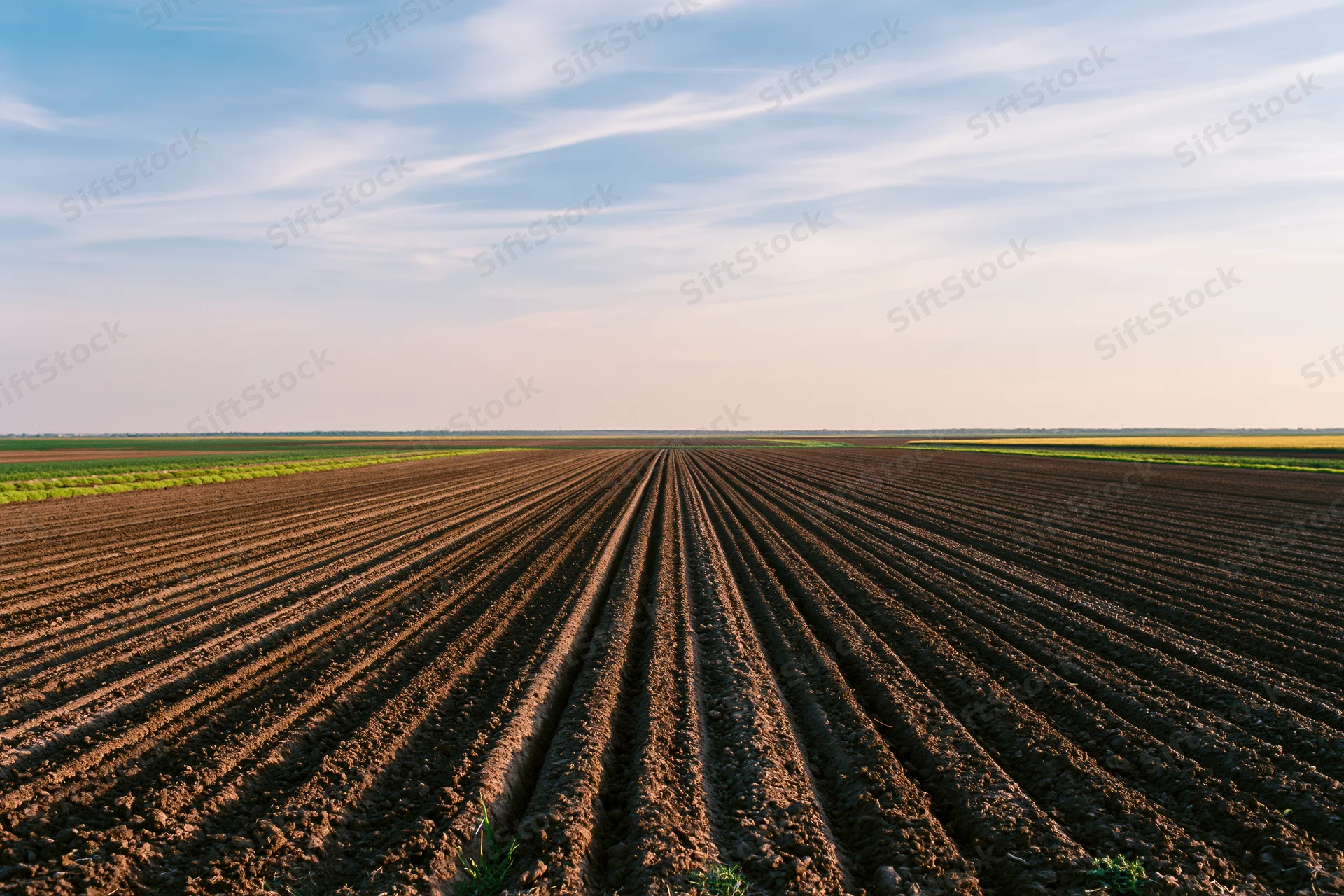 Freshly plowed field with parallel furrow rows stretching toward the horizon under a blue sky with wispy clouds