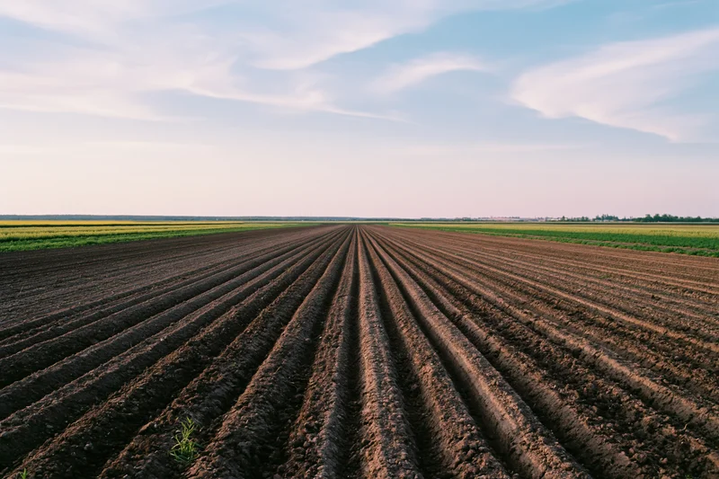 Freshly plowed field with parallel furrow rows stretching toward the horizon under a partly cloudy sky