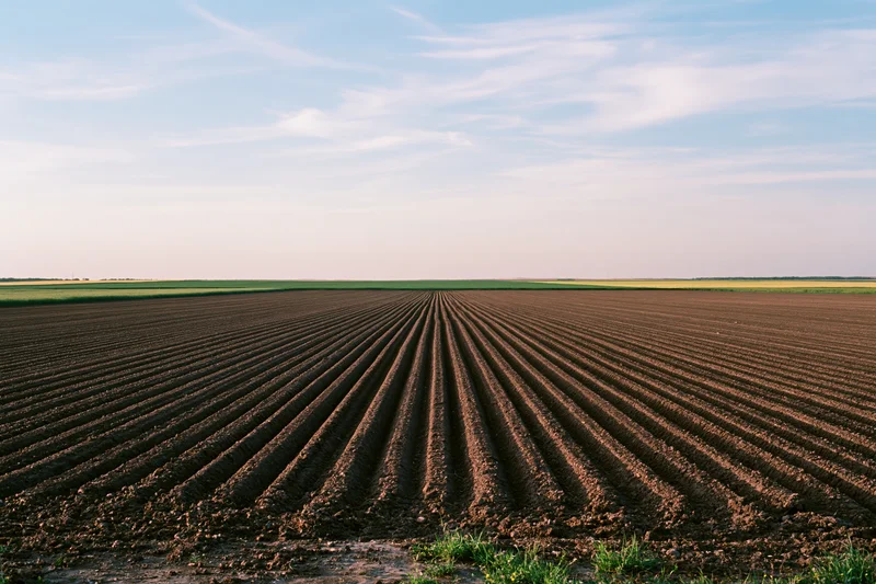 Freshly plowed field with parallel furrow rows stretching toward the horizon under a clear sky