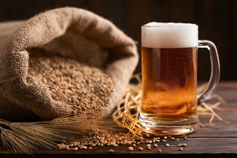 Glass beer mug filled with golden lager and foamy head sitting beside a burlap sack of barley and wheat sheaves on a dark wooden table
