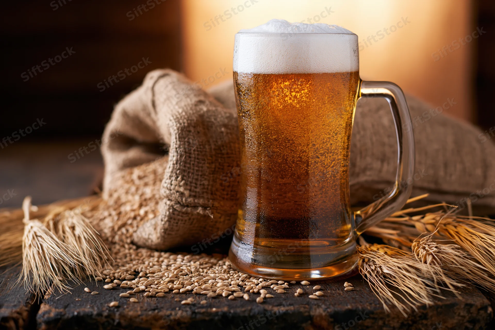 Glass beer mug filled with golden lager and foamy head resting on wooden surface with barley sheaves and burlap sack