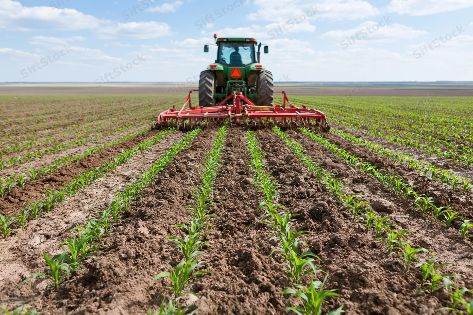 Green tractor with red cultivator moving away across a cornfield in spring
