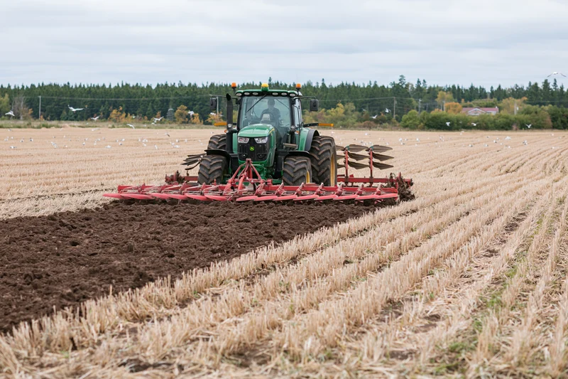 Green tractor with red multi-blade plow tilling a harvested field in autumn