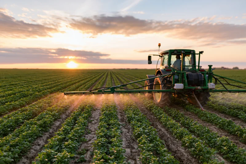 Green tractor spraying pesticide across long parallel rows of crops in a field at sunset