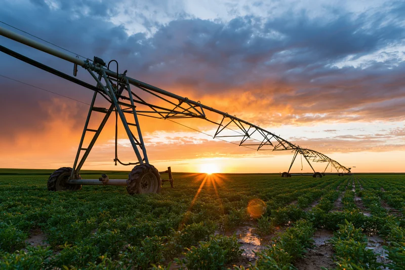 Center pivot irrigation system stretching diagonally across a green crop field at sunset