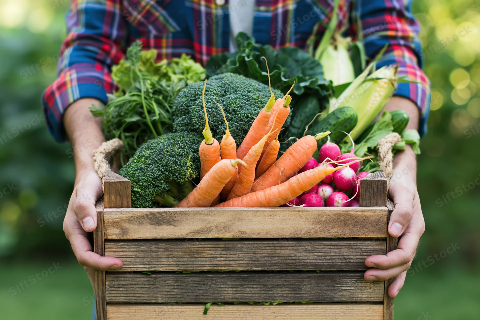 Farmer holding wooden crate overflowing with fresh vegetables in garden