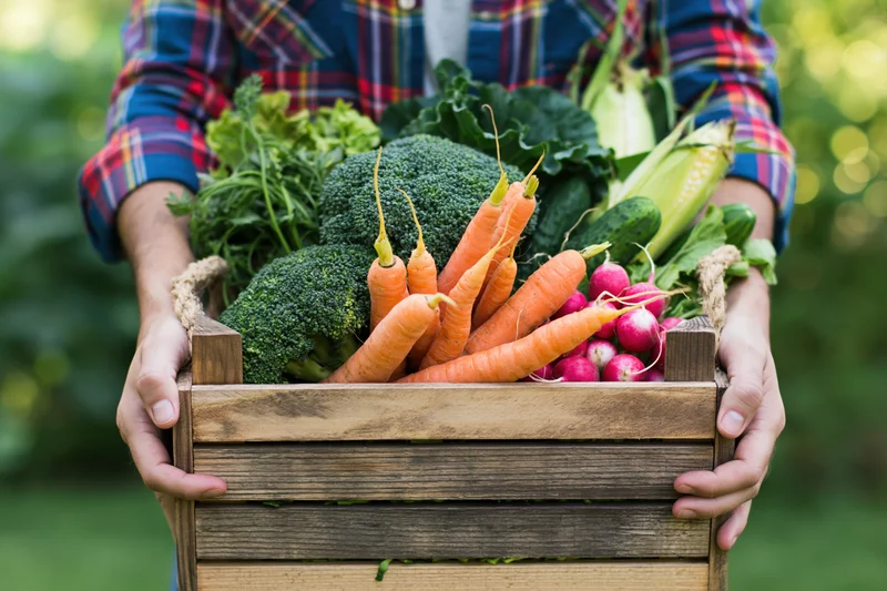 Farmer holding wooden crate overflowing with fresh vegetables in garden
