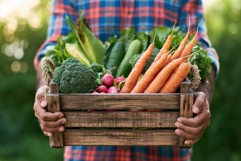 Farmer holding wooden crate filled with fresh vegetables in garden
