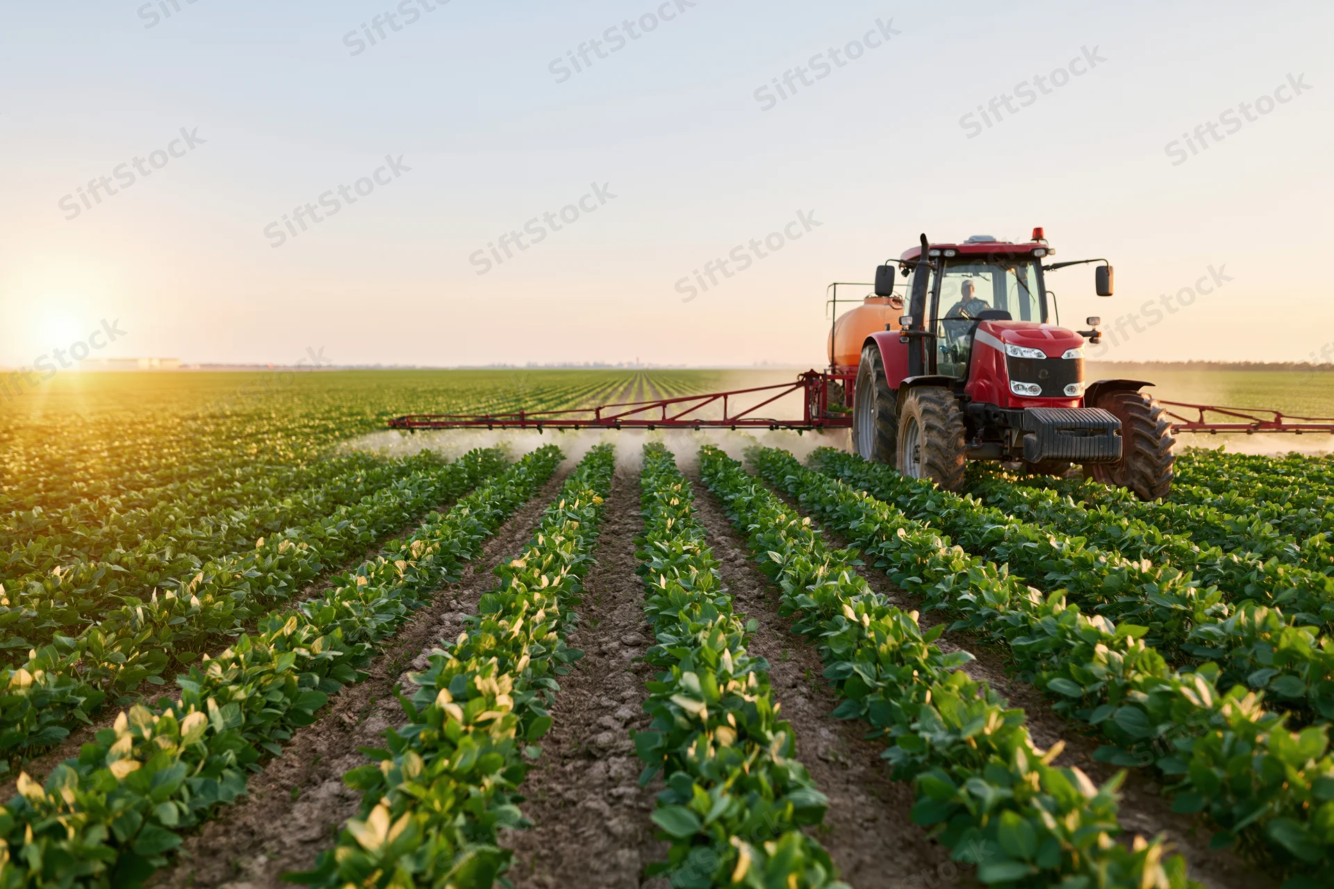 Red tractor pulling wide boom sprayer across soybean field at sunset