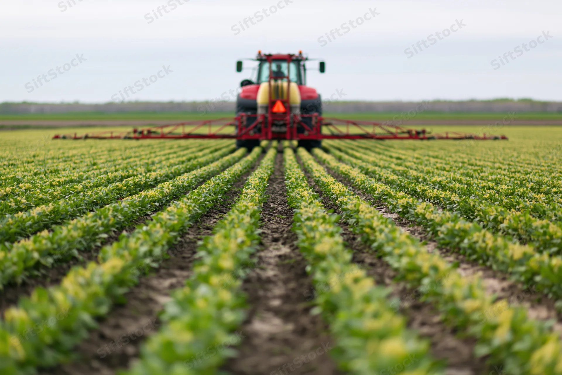 Red tractor with extended spray boom driving away from camera through rows of green crops in a farm field