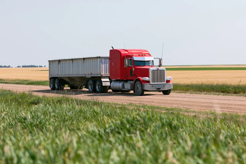 Red semi truck hauling grain trailer on rural dirt road