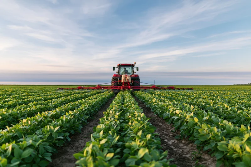 Red tractor spraying soybean crops in a field from ground level view