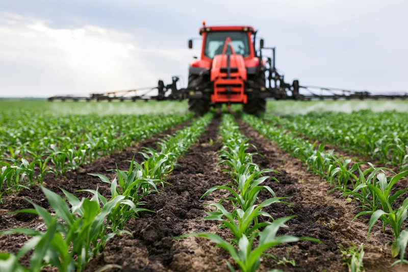 Red tractor with mounted sprayer applying pesticide across rows of young corn in a field