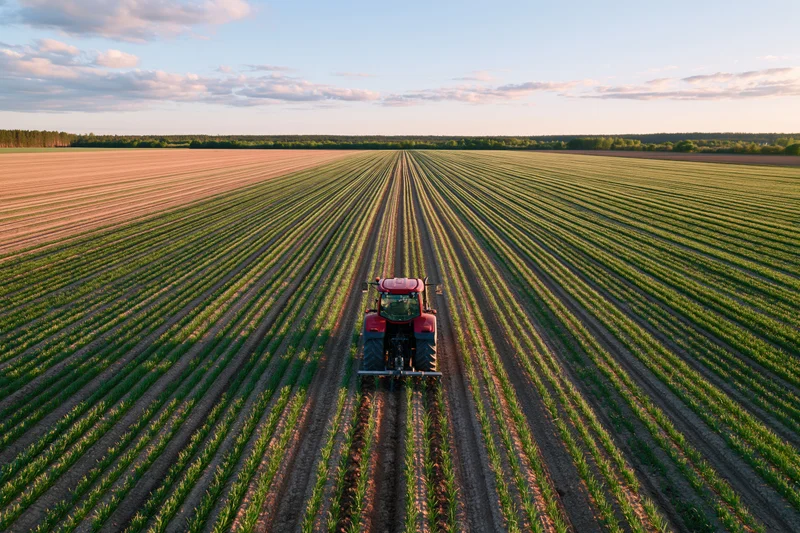 Red tractor cultivating long parallel rows of young green crops in a vast field