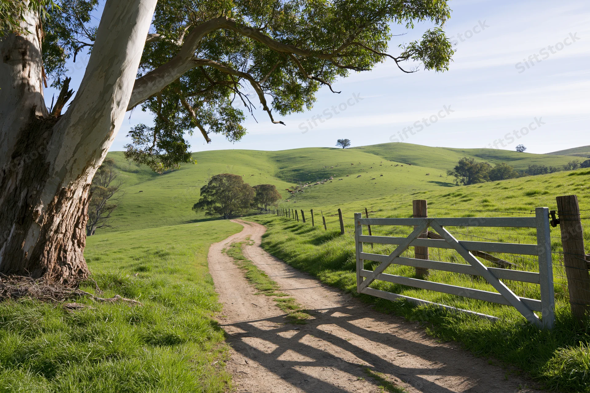 Wooden farm gate on a dirt track leading into rolling green hills