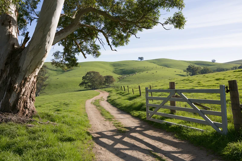 Wooden farm gate on a dirt track leading into rolling green hills