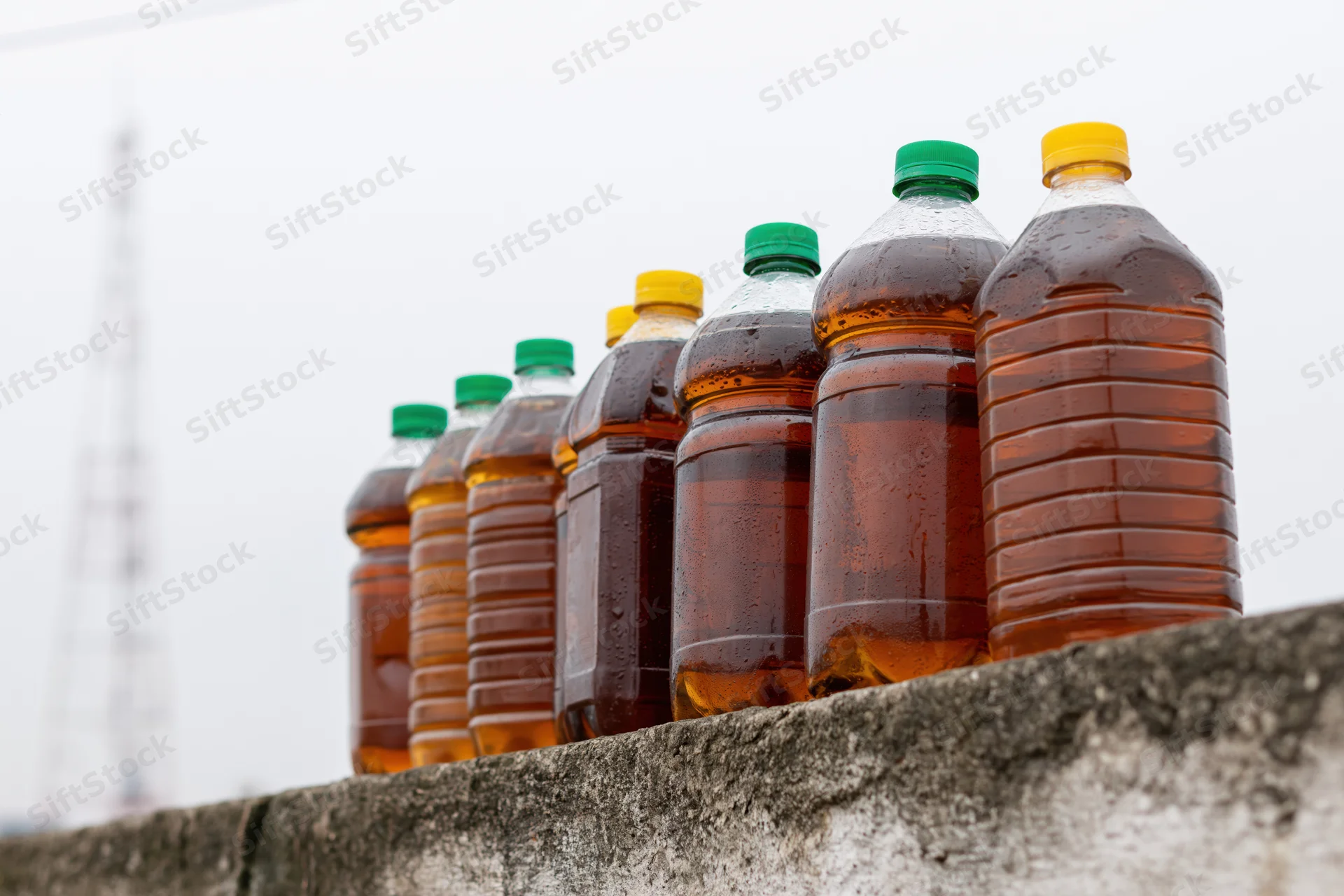 Seven reused plastic bottles filled with dark amber liquid arranged in a row on a concrete ledge outdoors