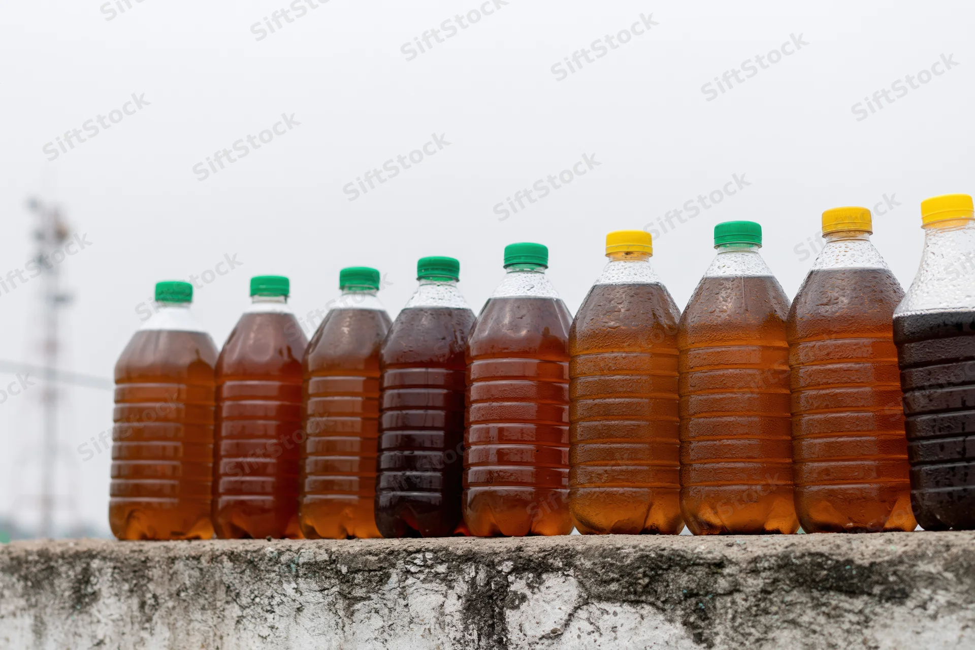 Row of reused plastic bottles filled with dark amber liquid arranged on concrete ledge outdoors