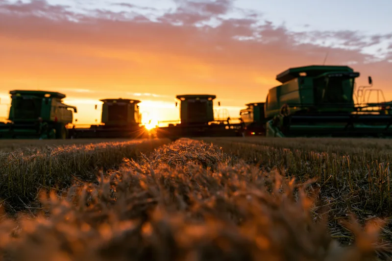 Several green combine harvesters parked in a harvested wheat field at sunset
