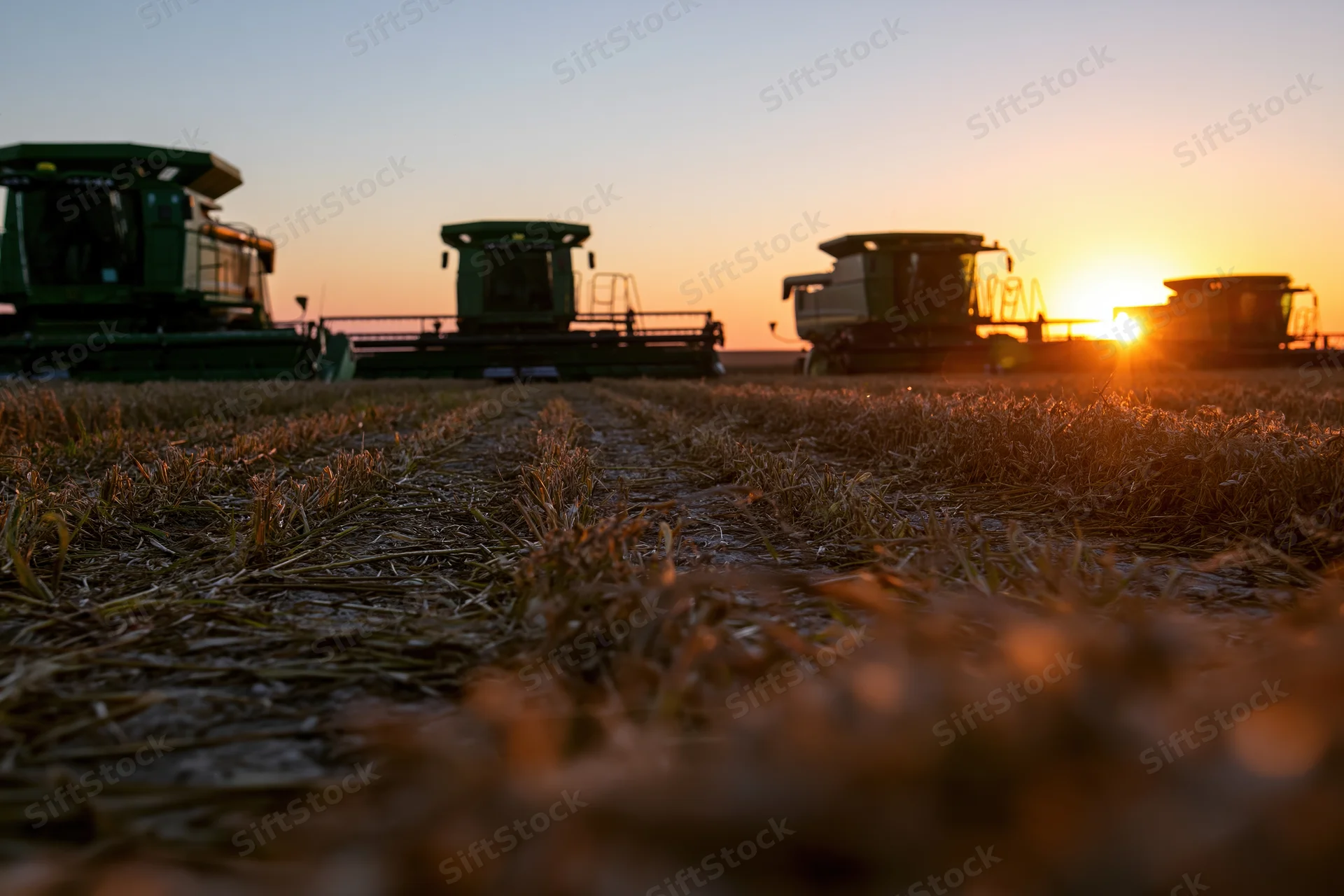 Several green combine harvesters parked in a harvested field at sunset