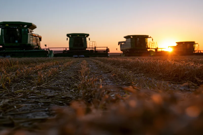 Several green combine harvesters parked in a harvested field at sunset