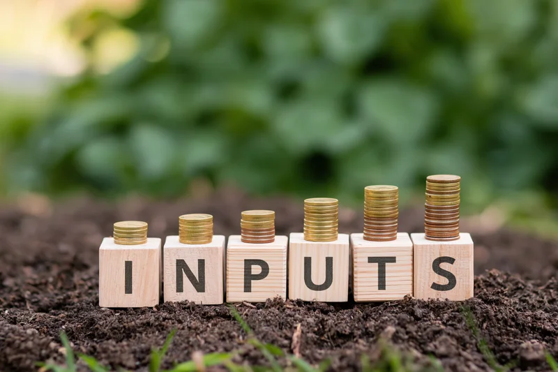 Wooden blocks spelling inputs with stacks of gold coins rising on each, arranged in soil outdoors
