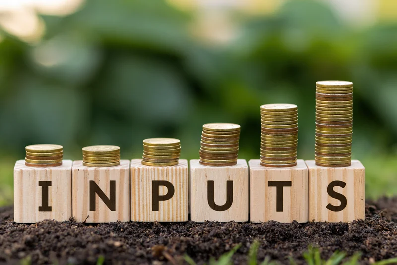Wooden blocks spelling inputs with stacks of coins rising in height on soil in a garden setting