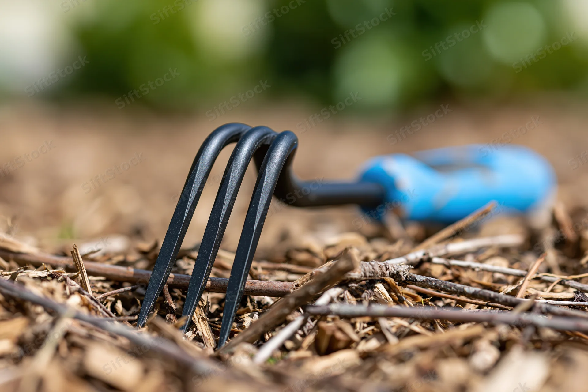 Small hand cultivator with blue rubber grip resting on dry mulch and twigs in garden soil