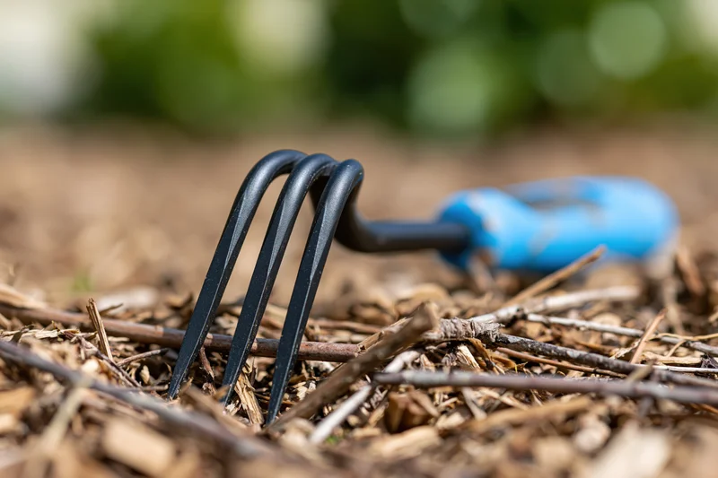 Small hand cultivator with blue rubber grip resting on dry mulch and twigs in garden soil