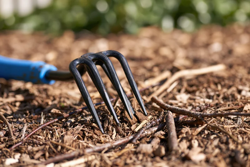 Hand cultivator with blue rubber grip resting on dry mulched soil in garden
