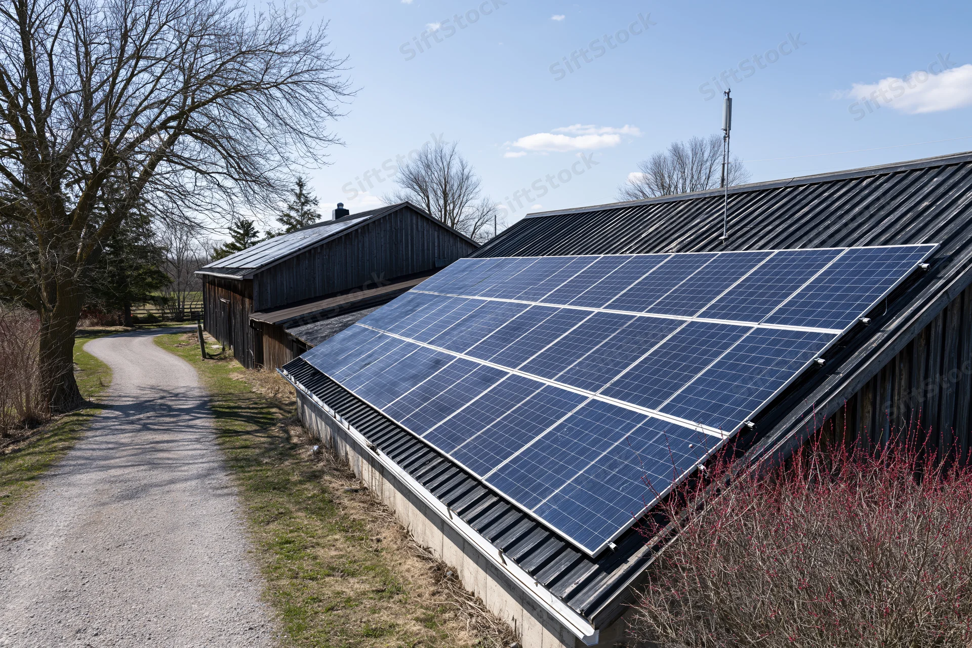 Solar panels installed on sloped metal roofs of rural farm buildings along a gravel path