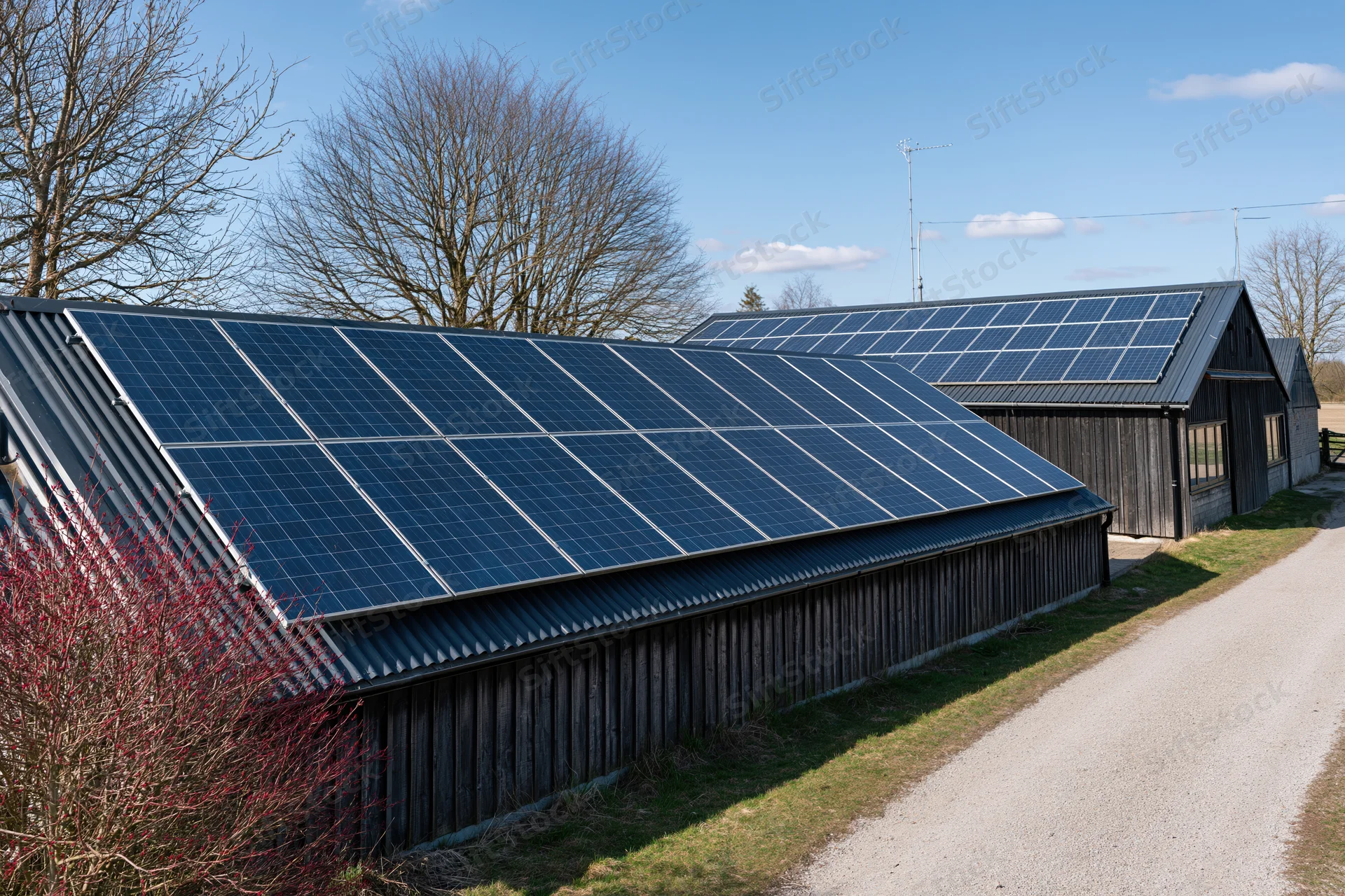 Solar panels covering sloped rooftops of rural farm buildings along a gravel path