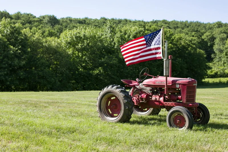 Vintage red farm tractor parked in a mowed grass field with american flag attached, surrounded by trees under clear sky