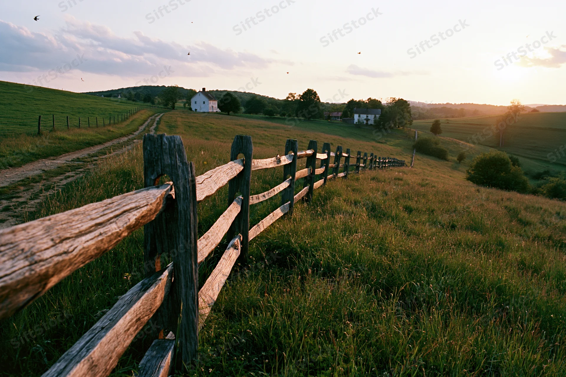 Weathered split-rail wooden fence running diagonally through a grassy rural field toward a farmhouse at sunset