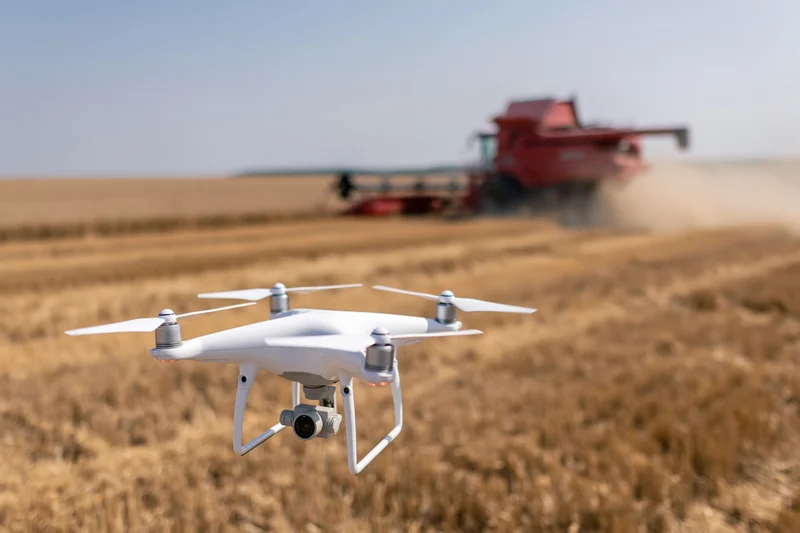 White quadcopter drone hovering low over harvested wheat field with red combine harvester in background
