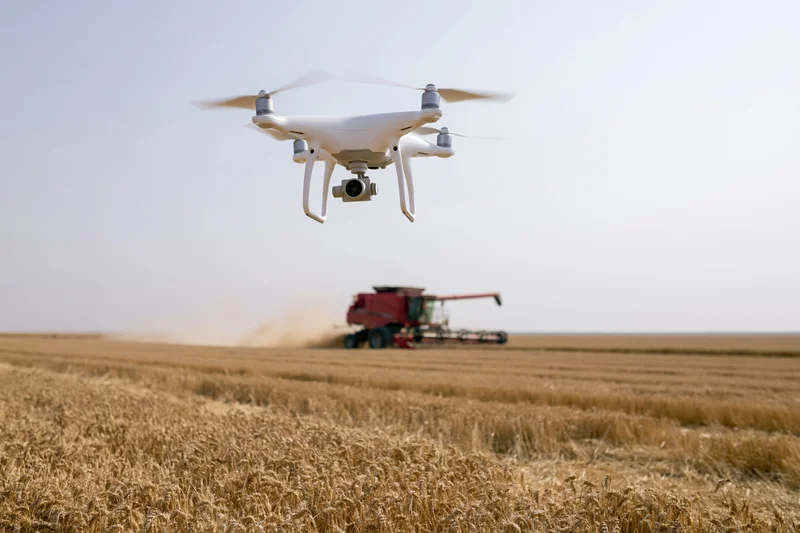 White consumer quadcopter drone hovering over harvested field