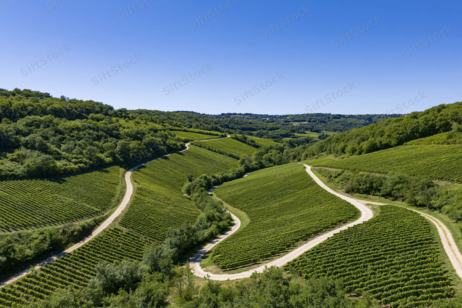 Aerial view of terraced vineyards winding through rolling green hills in a french countryside valley