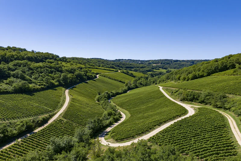 Aerial view of terraced vineyards winding through rolling green hills in a french countryside valley