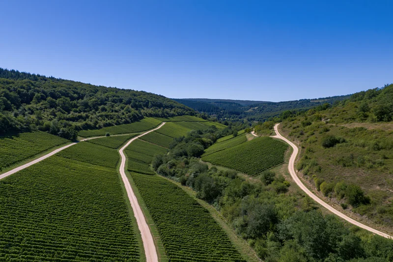 Aerial view of a rolling french countryside valley with vineyards and winding dirt roads